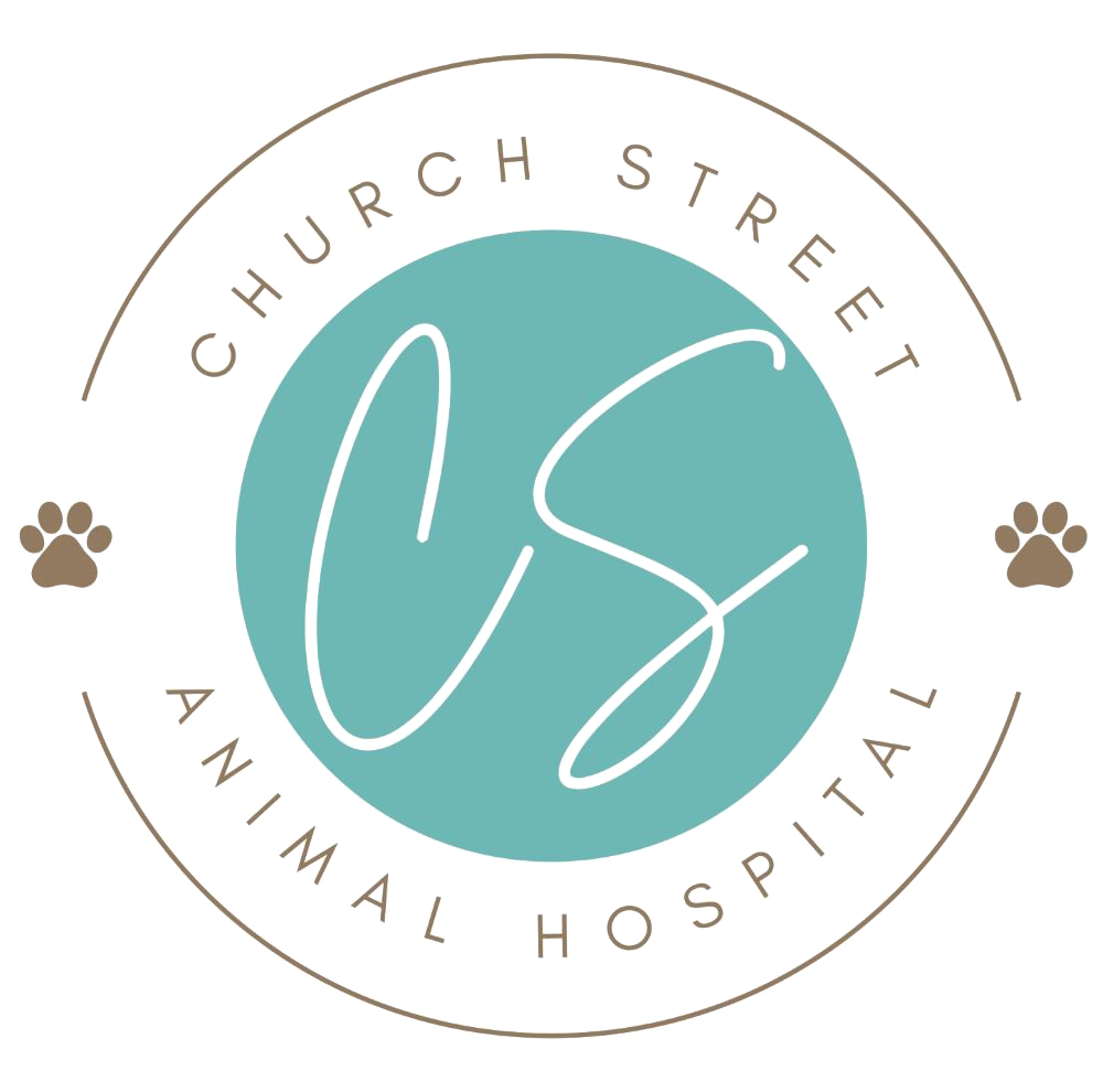 Church Street Animal Hospital