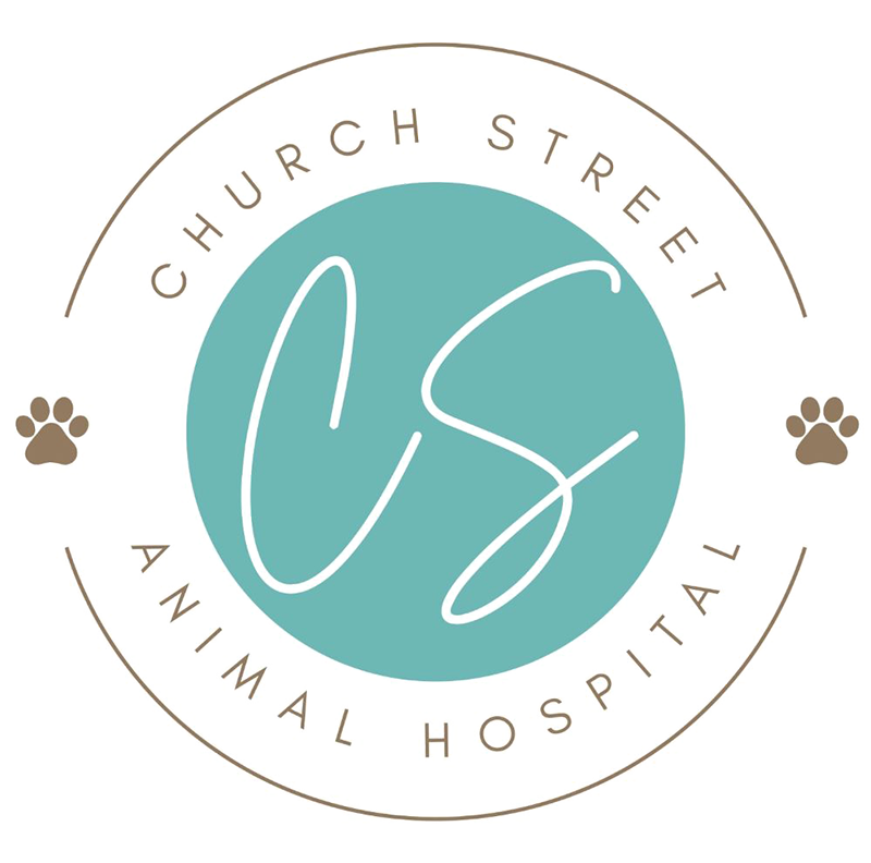 Church Street Animal Hospital logo