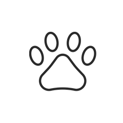 blank circle photo